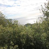 Land plot in Greece, Ionian Islands