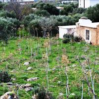 Земельный участок в Греции, Крит, Ханья