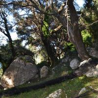 Land plot in Greece, Ionian Islands