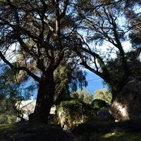 Land plot in Greece, Ionian Islands