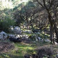 Land plot in Greece, Ionian Islands