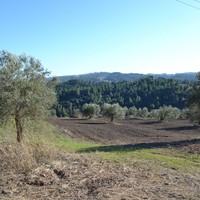 Land plot in Greece, Central Macedonia, Center