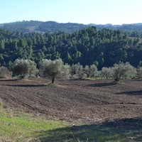 Land plot in Greece, Central Macedonia, Center