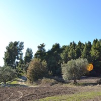 Land plot in Greece, Central Macedonia, Center