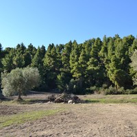 Land plot in Greece, Central Macedonia, Center