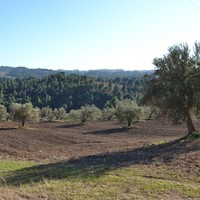 Land plot in Greece, Central Macedonia, Center