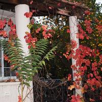 Other in Greece, Crete, Chania, 219 sq.m.