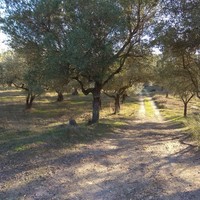 Земельный участок в Греции, Центральная Македония, Центр