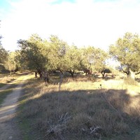 Земельный участок в Греции, Центральная Македония, Центр