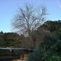 Other in Greece, Crete, Chania, 65 sq.m.