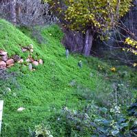 Other in Greece, Crete, Chania, 65 sq.m.