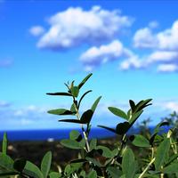 Land plot in Greece, Crete, Chania