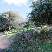 Land plot in Greece, Crete, Chania