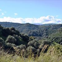 Land plot in Greece, Crete, Chania