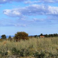 Land plot in Greece, Crete, Chania