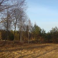 Land plot in the suburbs in Latvia, Riga, Bukulti