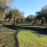 Land plot in Greece, Ionian Islands