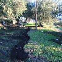 Land plot in Greece, Ionian Islands