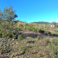 Земельный участок в Греции, Центральная Македония, Центр