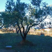 Other in Greece, Central Macedonia, Center, 380 sq.m.