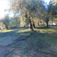 Land plot in Greece, Ionian Islands