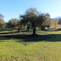 Land plot in Greece, Ionian Islands