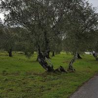 Земельный участок в Греции, Ионические острова