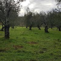 Земельный участок в Греции, Ионические острова