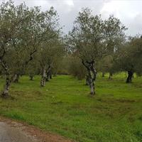 Земельный участок в Греции, Ионические острова