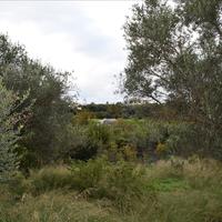 Земельный участок в Греции, Крит, Ханья