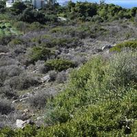 Land plot in Greece, Crete, Chania
