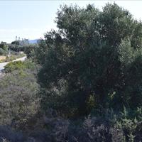 Land plot in Greece, Crete, Chania