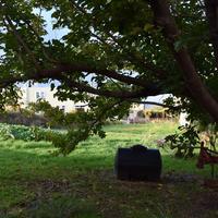 Other in Greece, Crete, Chania, 396 sq.m.