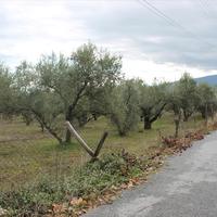 Land plot in Greece, Central Macedonia, Center