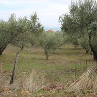 Land plot in Greece, Central Macedonia, Center