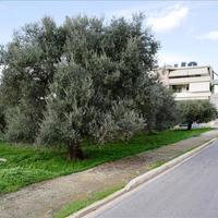 Земельный участок в Греции, Крит, Ханья