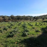 Земельный участок в Греции, Ионические острова