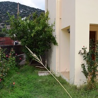 Other in Greece, Crete, 116 sq.m.