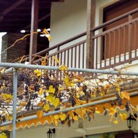 Other in Greece, Dode, 150 sq.m.