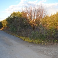 Land plot in Greece, Central Macedonia, Center