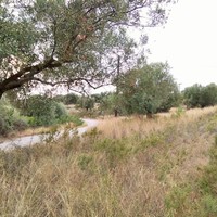 Земельный участок в Греции, Центральная Македония, Центр