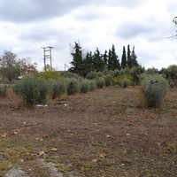 Другое в Греции, Центральная Македония, Хал, 87 кв.м.