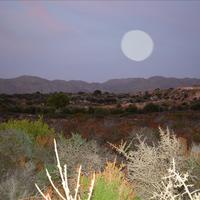 Land plot in Greece, Crete, Chania