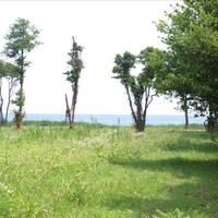 Земельный участок в Греции, Центральная Македония, Центр