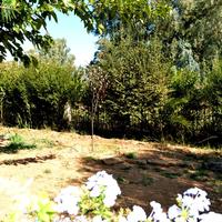 Other in Greece, Attica, Athens, 145 sq.m.