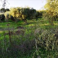 Земельный участок в Греции, Крит, Ханья