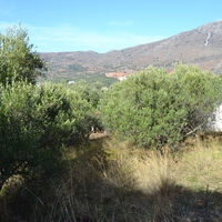 Land plot in Greece, Crete, 314 sq.m.