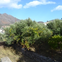 Land plot in Greece, Crete, 516 sq.m.
