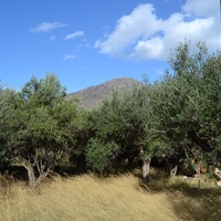 Land plot in Greece, Crete, 516 sq.m.