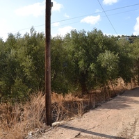 Land plot in Greece, Crete